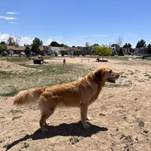 Eastridge Dog Park photo 2